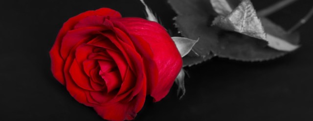 il-y-a-quelque-chose-dans-son-regard-part3