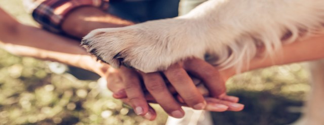 on-ne-laisse-pas-bebe-dans-un-coin-part1