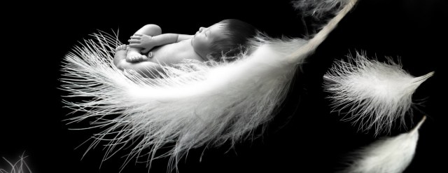 a-la-vie-a-la-mort-part5